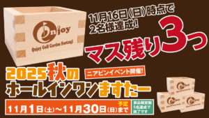 ホールインワンますたー中間報告